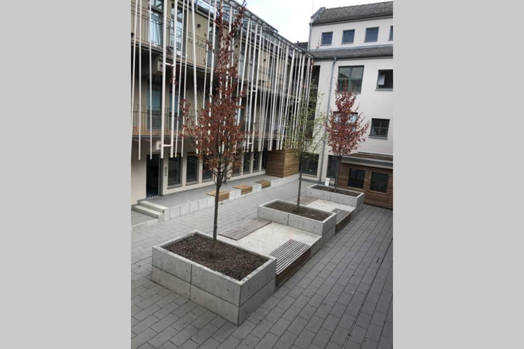 Central, Modern, Mit Grossem Balkon Checkin123 Wiesbaden Extérieur photo